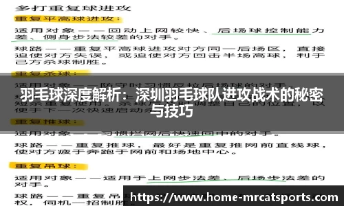 猫先生体育官方网站