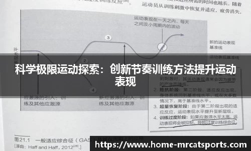 猫先生体育平台